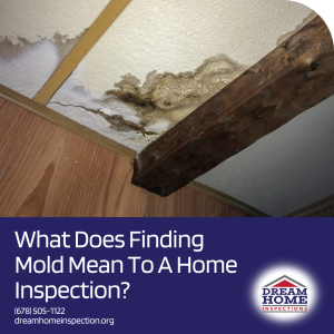 What Does Finding Mold Mean To The Home Inspection?