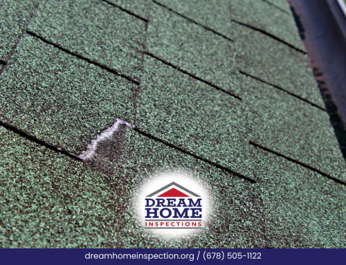 Common Spring Roof Issues In Louisville Homes