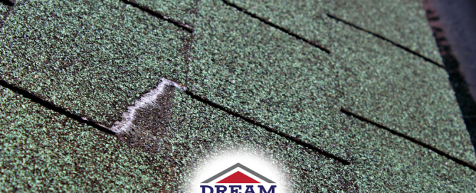 Granule loss and wear on asphalt shingles indicating aging roof.