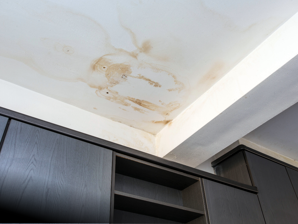 Interior ceiling stain from prolonged roof or plumbing leak.