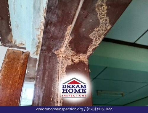 Early Spring Termite And Moisture Signs In Jonesboro, Ga