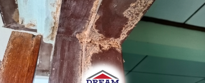 Wooden frame showing termite damage with sawdust buildup.
